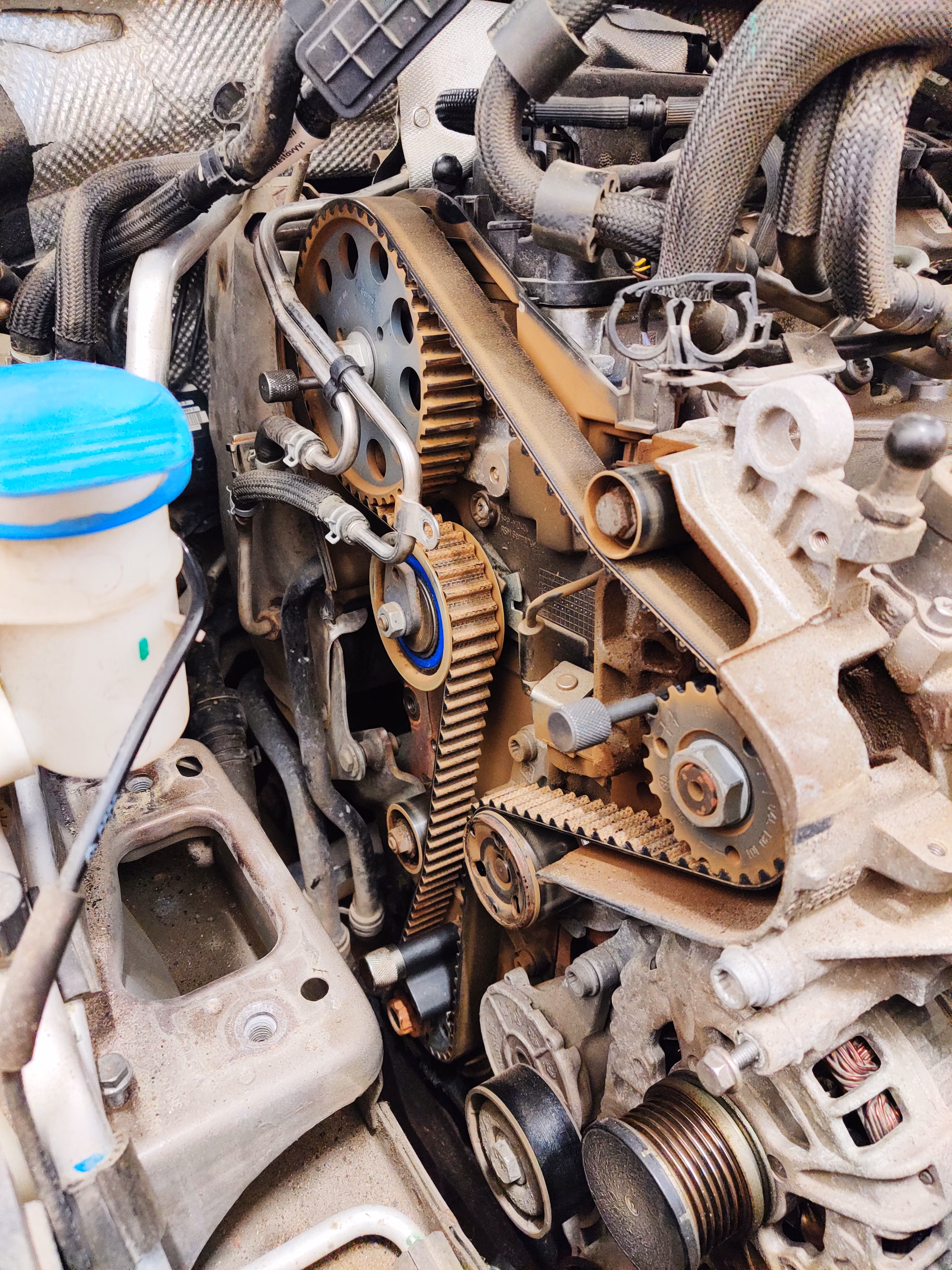 Maintenance & services